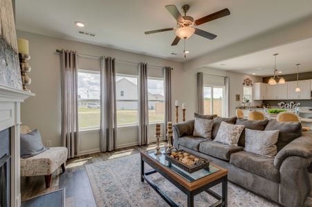Blakeney by Regent Homes in Smyrna - image 5