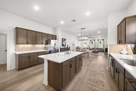 Mostyn Springs by DSLD Homes in Magnolia - image 4