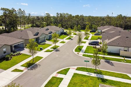 Berry Bay by M/I Homes in Wimauma - image 20