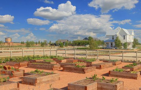 Harvest Gardens by David Weekley Homes in Northlake - photo 9 9