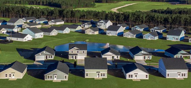 Palmetto Springs by Lennar in Conway - image