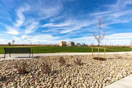 Wolf Creek Run by Dream Finders Homes in Strasburg - photo 6 6