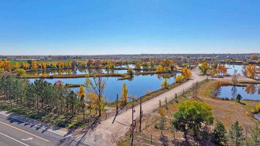 Fossil Creek Ranch by D.R. Horton in Windsor - photo 5 5