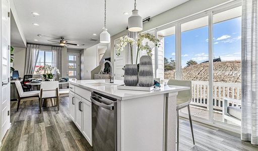 Urban Collection at Looking Glass by Richmond American Homes in Parker - photo 37 37