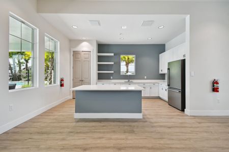 Berry Bay by M/I Homes in Wimauma - image 9