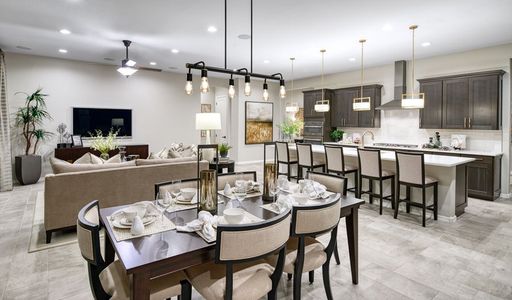 Estates at Arroyo Seco by Richmond American Homes in Buckeye - photo 13 13