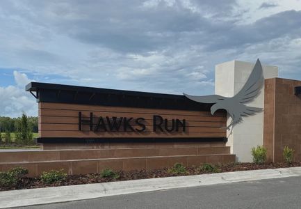 Hawks Run by Starlight Homes in Kissimmee - image