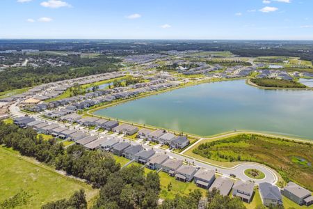 Chapel Crossings by M/I Homes in Wesley Chapel - photo 12 12