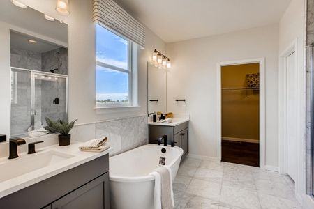 Independence by Dream Finders Homes in Elizabeth - photo 11 11