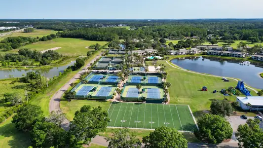 Townes at Saddlebrook by Dream Finders Homes in Wesley Chapel - image