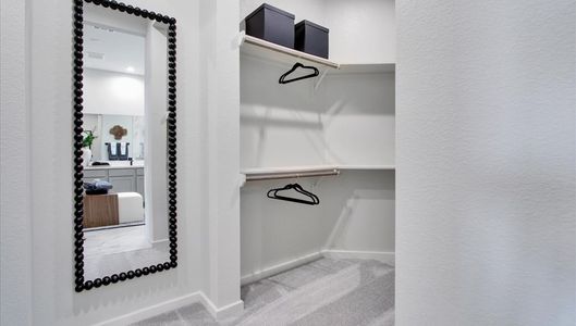 Canterra Creek  60' by Tricoast Homes in Iowa Colony - image 20