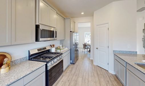 Portrait Hills by Hurricane Builders in Aiken - image 4