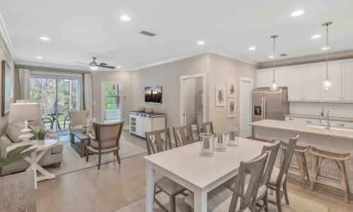 Cherry Elm at SilverLeaf by Dream Finders Homes in St. Augustine - photo 15 15