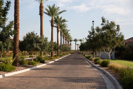 Seaboard at Cooley Station by Fulton Homes in Gilbert - photo 9 9