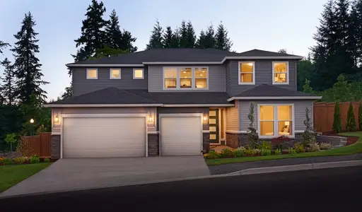 Rye Manor at Legacy Preserve by Richmond American Homes in Parrish - image