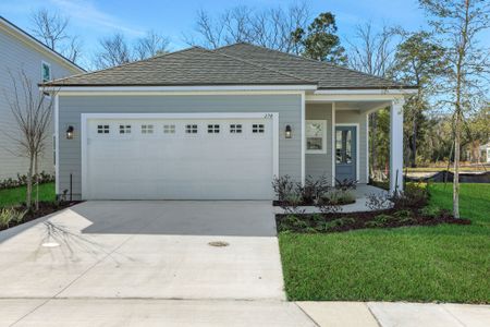 TrailMark by Dream Finders Homes in St. Augustine - photo 20 20