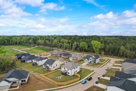 Collins Cove by Great Southern Homes in Chapin - image 16