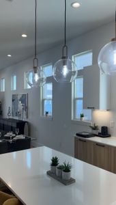 Yale Terrace by Oracle City Homes in Houston - photo 22 22