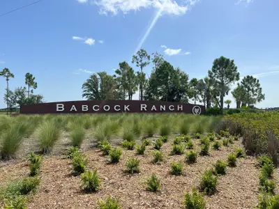 Creekside Run at Babcock Ranch by Dream Finders Homes in Punta Gorda - image