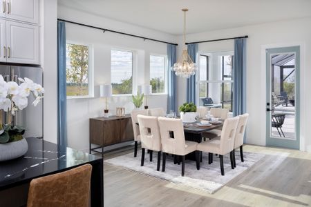 Palmera Wellen Park - Classic Series by David Weekley Homes in Venice - image 11