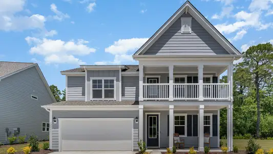 Old Chapin Reserve by D.R. Horton in Lexington - image