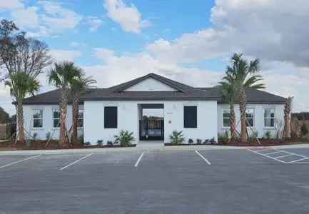 Landings at Mount Olive by Starlight Homes in Polk City - image