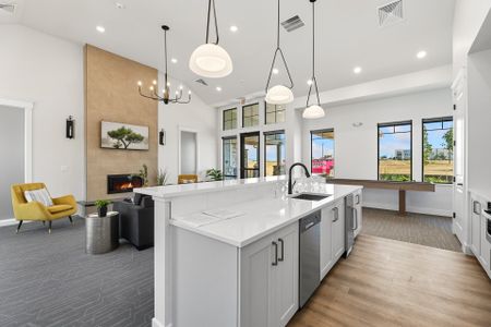 The Lakes at Centerra - North Shore Flats 10