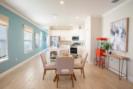 Hammock Reserve by Maronda Homes in Haines City - image 6