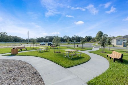 Picnic Area at Mayhill