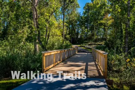 North Creek Village – The Heritage Collection by David Weekley Homes in Huntersville - image