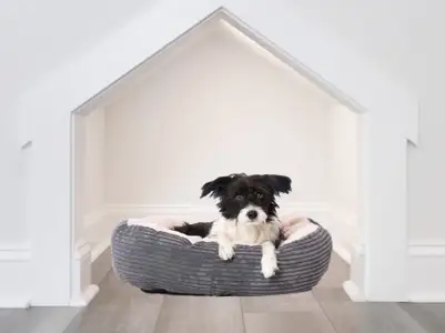 Miller Park by Cothran Homes in Greenville - image 18