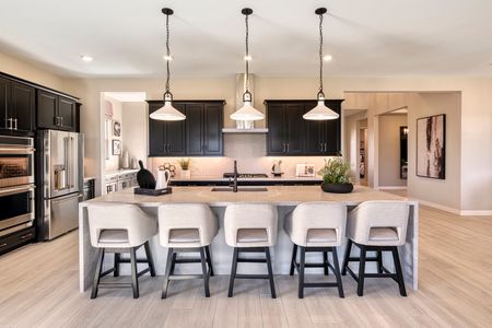 Canastero at Waterston Central by Tri Pointe Homes in Gilbert - photo 26 26