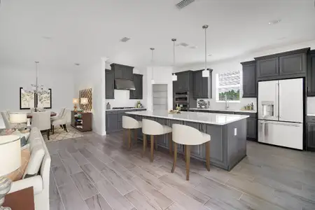 Harvest at Ovation by Taylor Morrison in Winter Garden - image 4