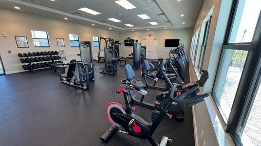 The Timbers at Everlands: The Grand Collection 64