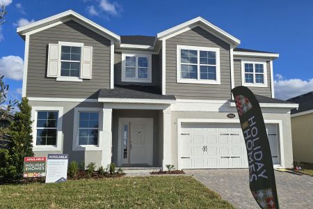 Bay Lake Farms by M/I Homes in St. Cloud - photo 34 34