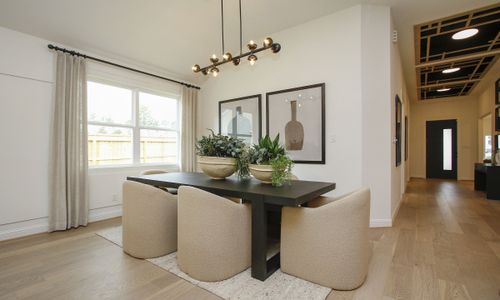 The Woodlands Hills by Brightland Homes in Willis - photo 12 12