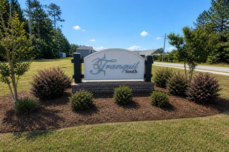 Tranquil South by RTS Homes in Hinesville - image
