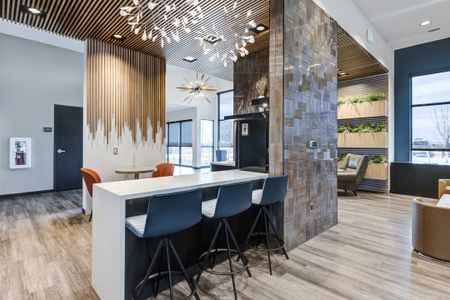 Barefoot by American Legend Homes in Firestone - image 19