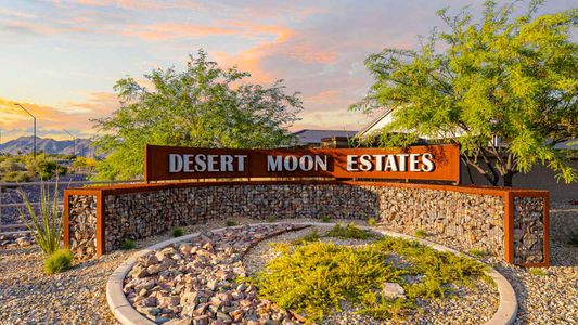 Desert Moon Estates by D.R. Horton in Buckeye - photo 1 1