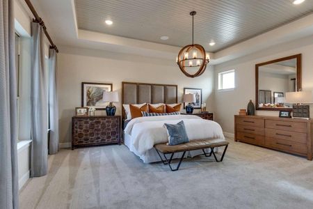 Elements at Viridian - Traditional Series by David Weekley Homes in Arlington - photo 22 22