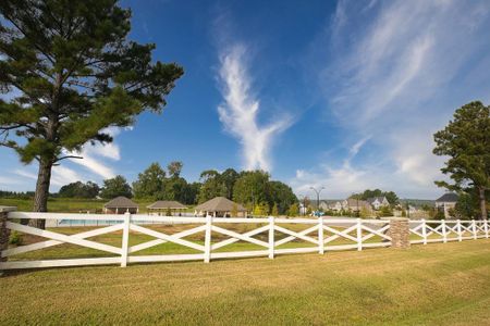 Estates at Winston Pointe by Caviness & Cates Communities in Clayton - photo 3 3