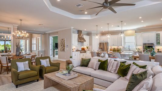 Esplanade at Artisan Lakes by Taylor Morrison in Palmetto - photo 66 66