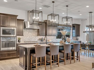 Palo Verde at North Creek by Woodside Homes in Queen Creek - photo 40 40