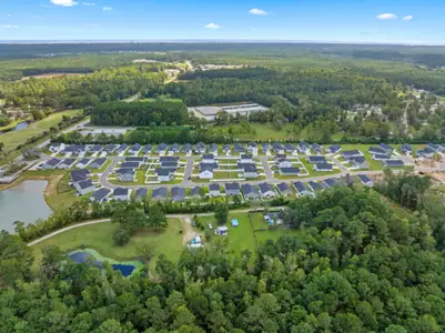 Seaside Palms by Dream Finders Homes in Sunset Beach - image 20