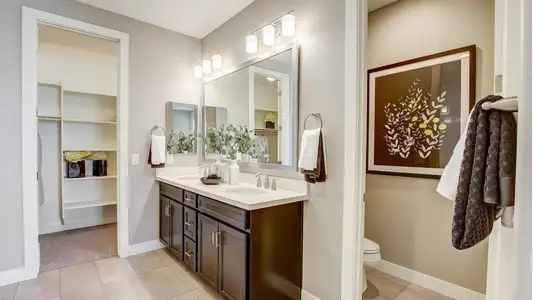 Castillo at Anderson Parc by Brightland Homes in Buckeye - image 16
