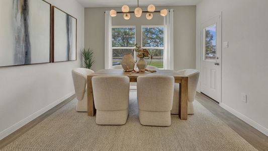 Paramount by D.R. Horton in Kyle - image 7