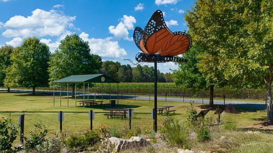 Etowah Preserve by D.R. Horton in Dawsonville - photo 21 21