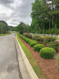 The Cove by Great Southern Homes in Sumter - image 18