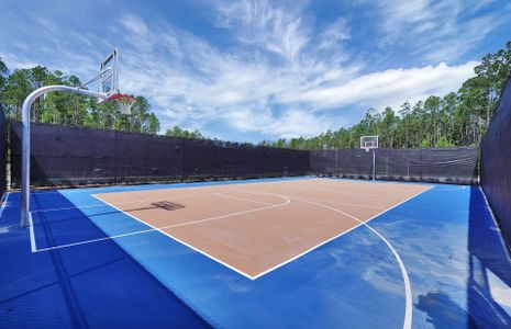 Sports Court