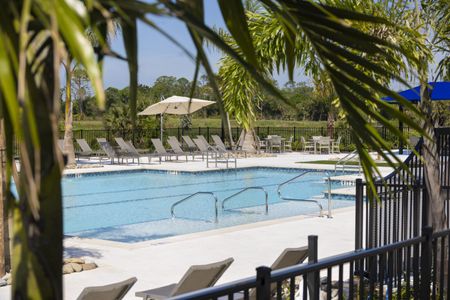 Vistera of Venice by Neal Communities in Nokomis - image 11